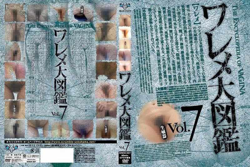 ワレメ大図鑑 Vol.7